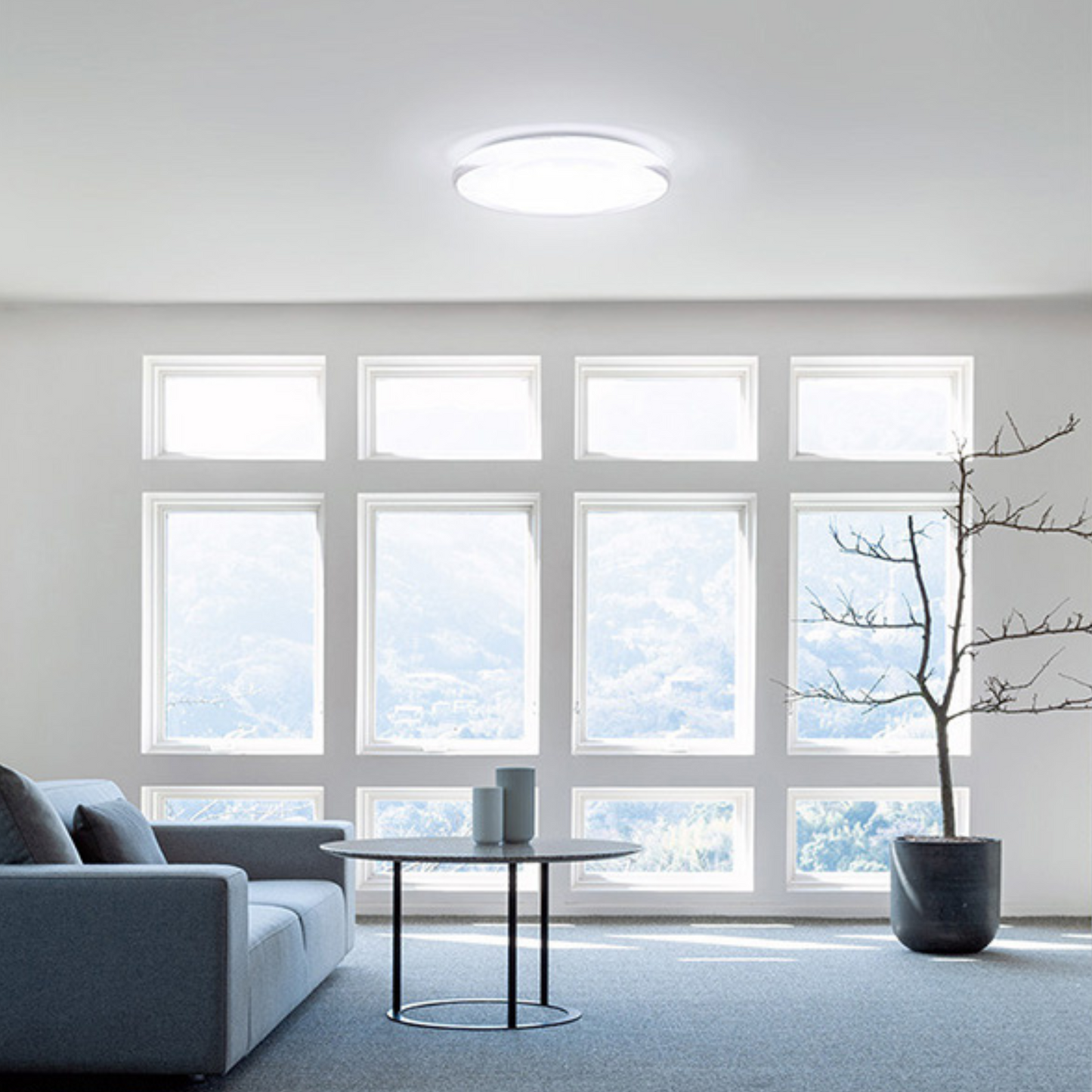 雫　-Shizuku-　CEILING LIGHT