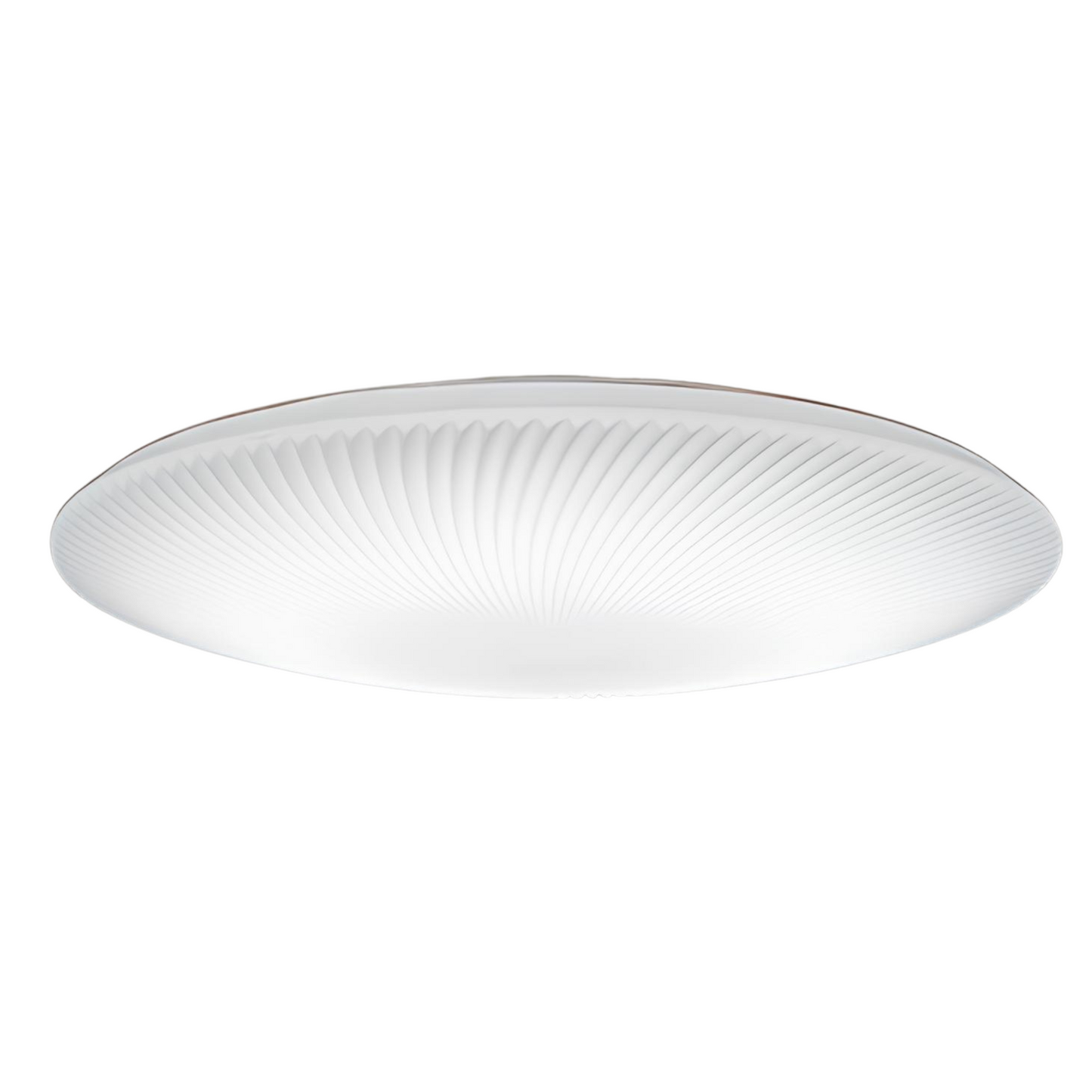 美貝　-Mishell-　CEILING LIGHT